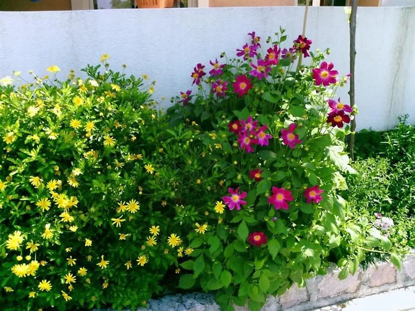 Apartments Mitrovi' Podli'ak Garten