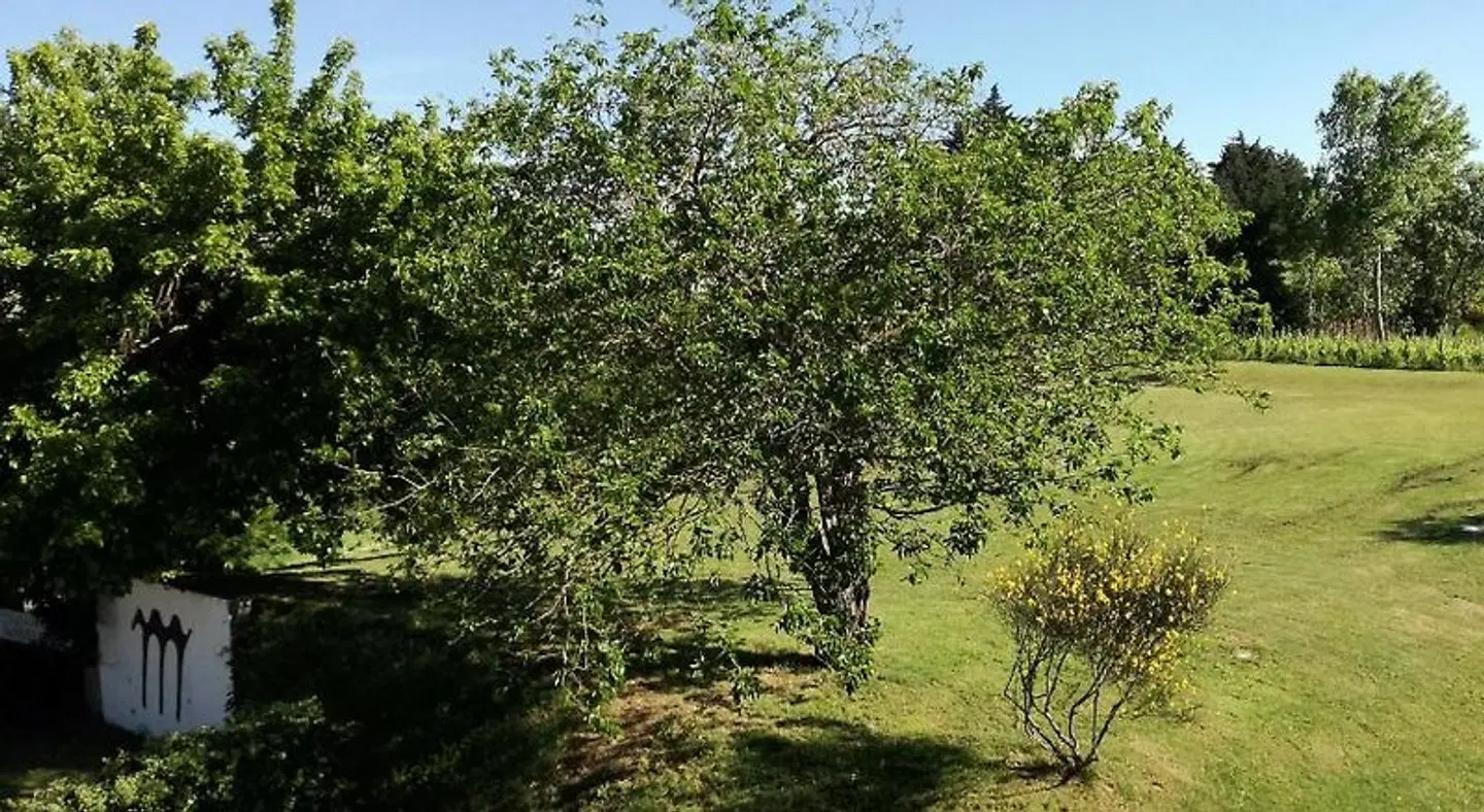 Morattina LANDSCAPE