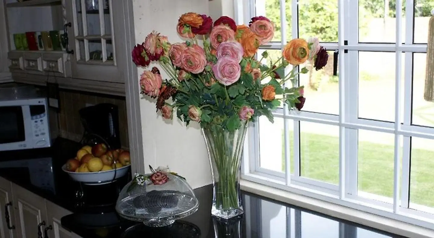 Jolani Guest House LOUNGE_LOBBY
