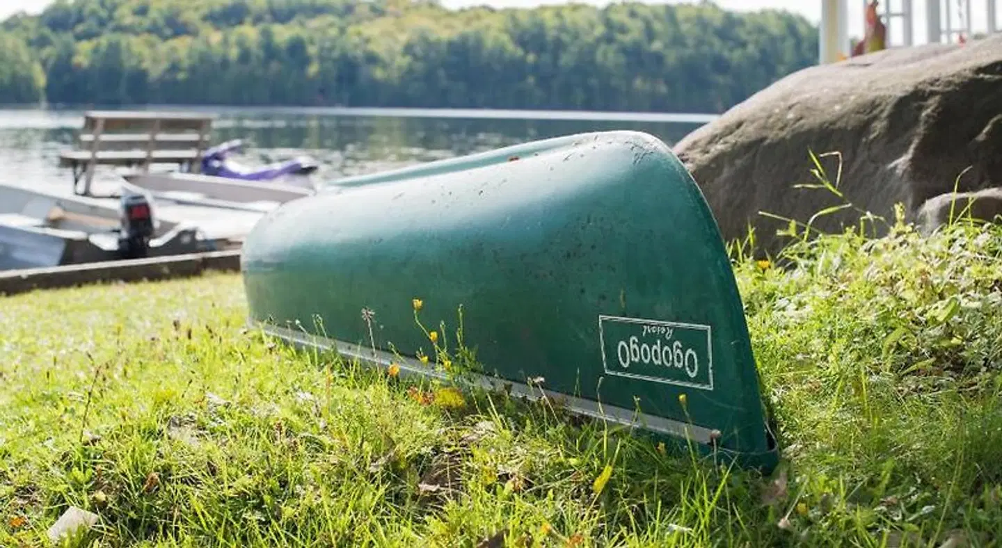 Ogopogo Resort LANDSCAPE