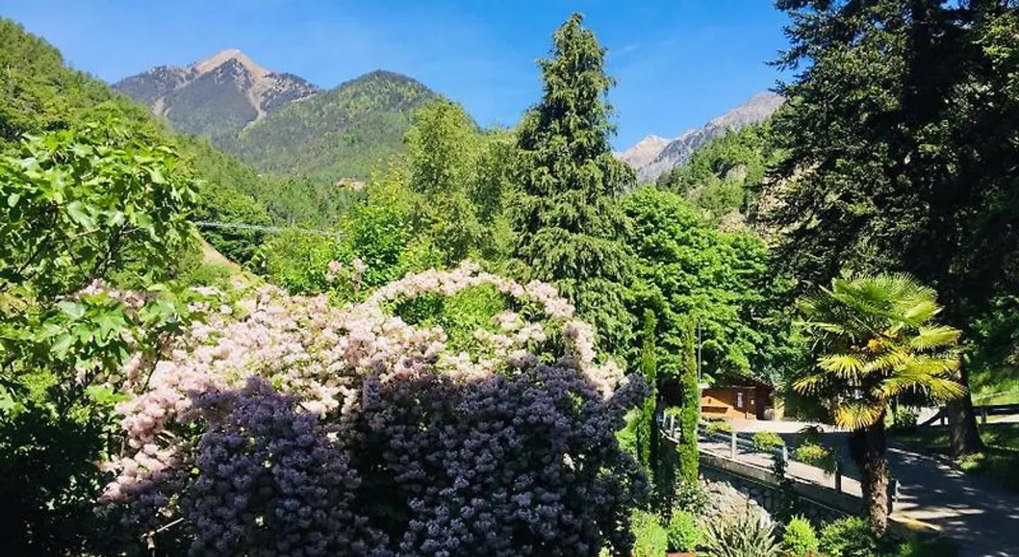 Tannerhof LANDSCAPE