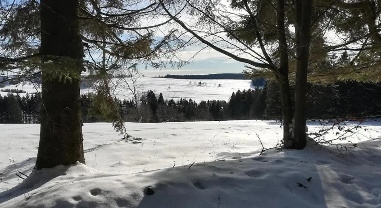 Haus Linde LANDSCAPE