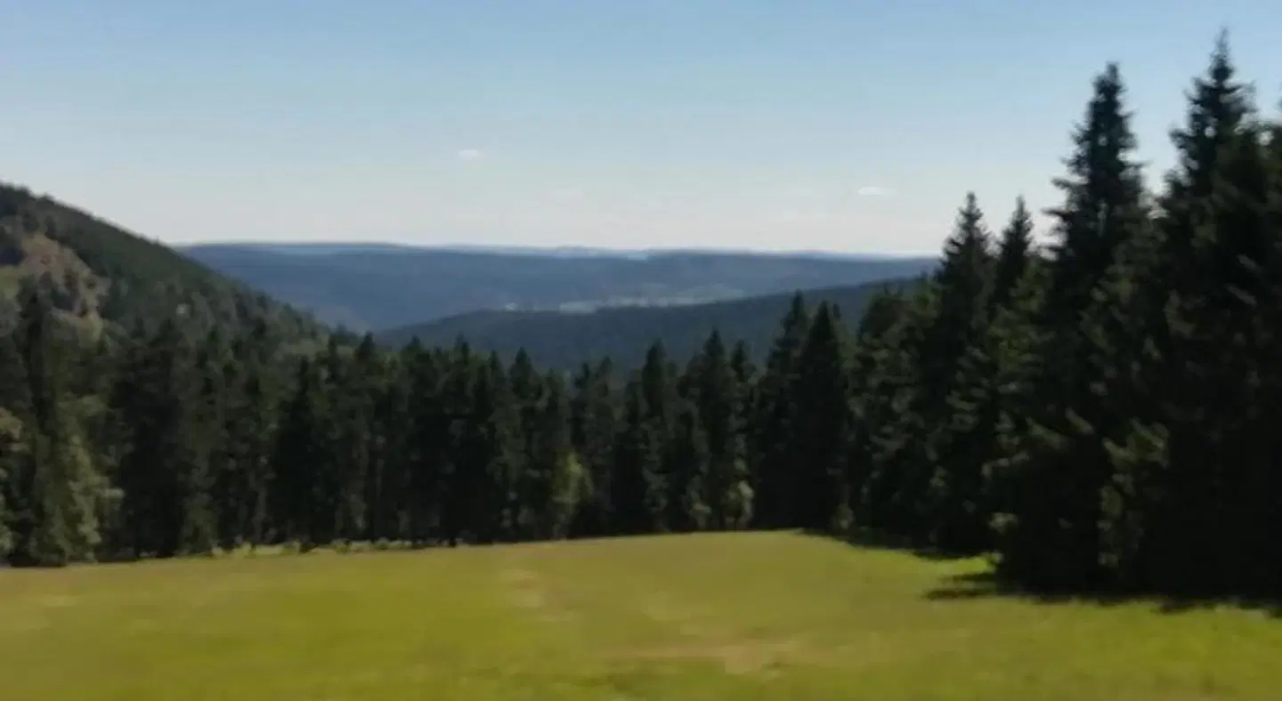 Haus Linde LANDSCAPE