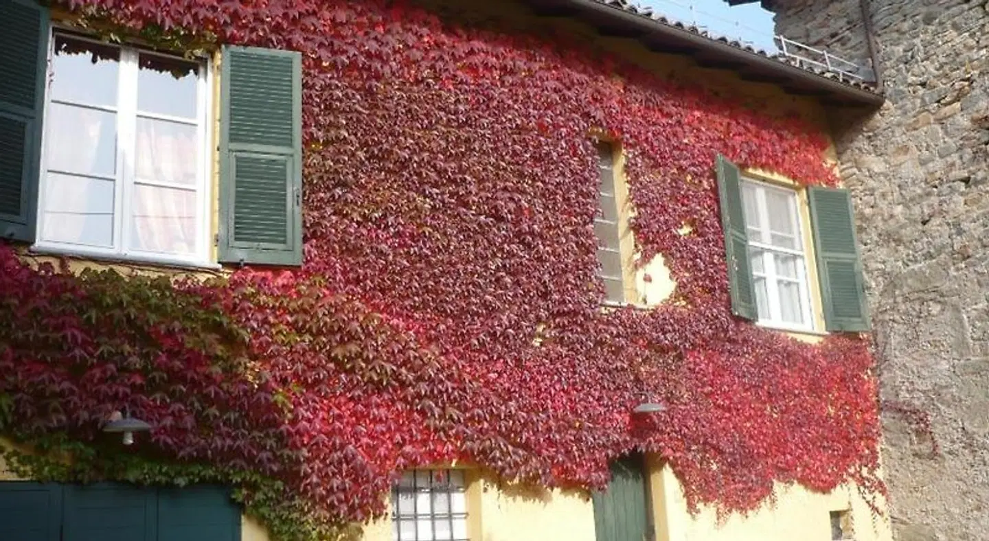 Cascina Formighezzo EXTERIOR