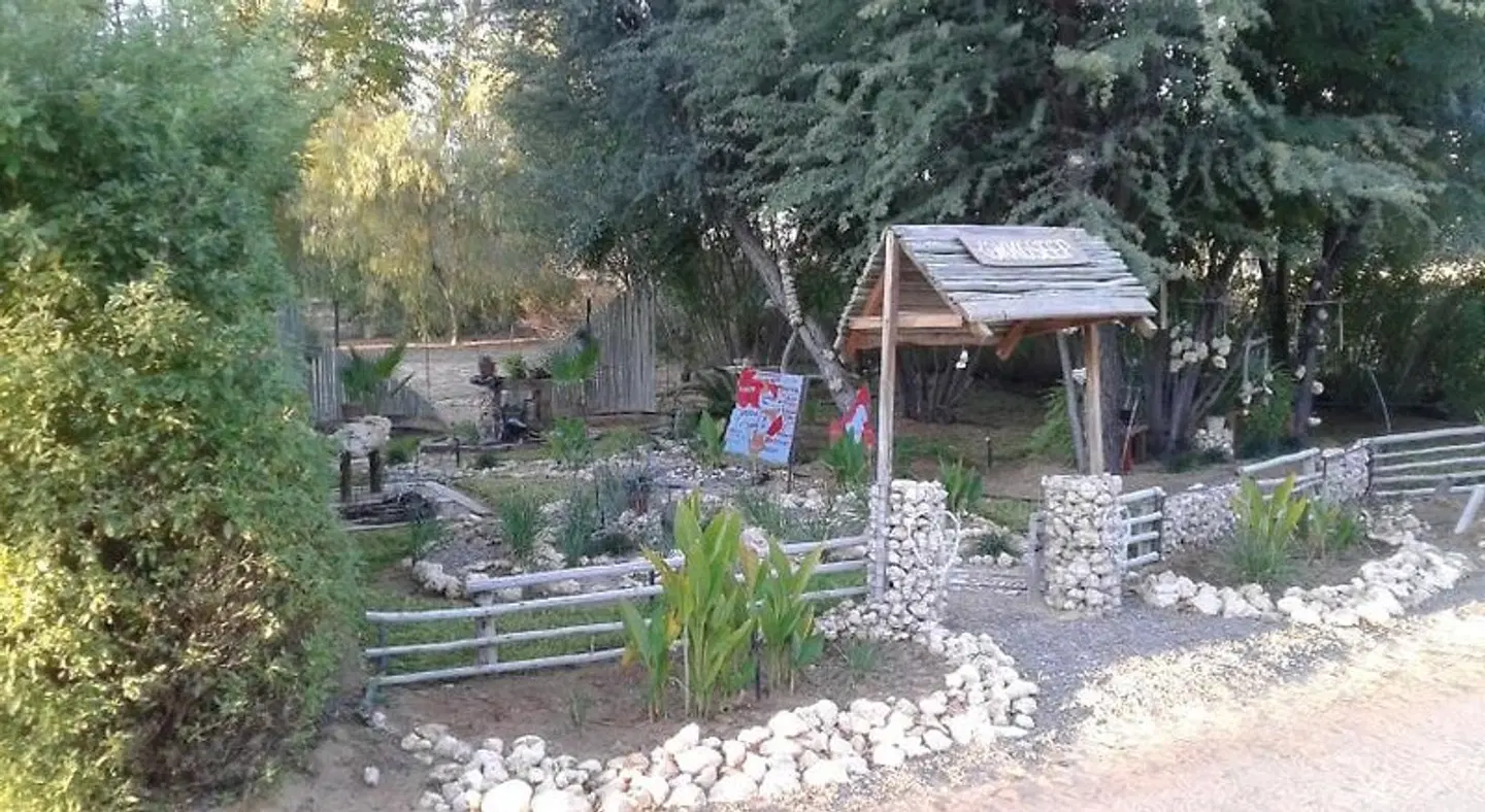 Kalahari Camelthorn Guesthouse and Camping Garten