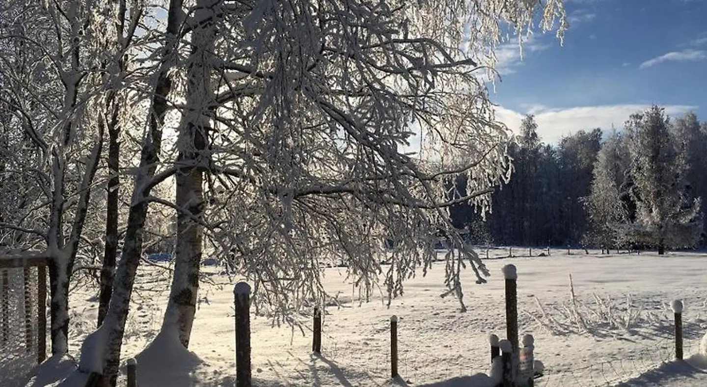 Ollilan tupa LANDSCAPE