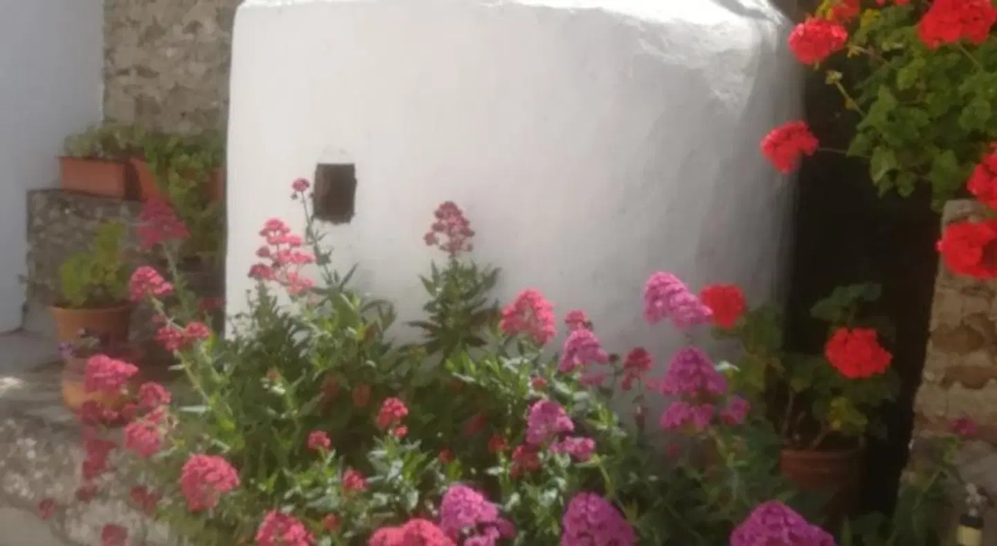 Guesthouse Luar Garten