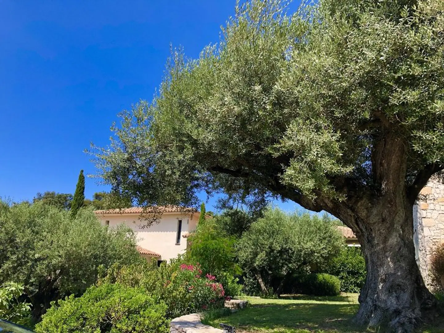 Nature & Design Garten
