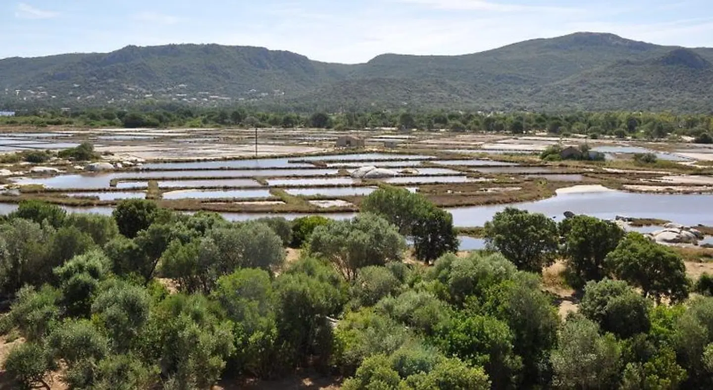 Residence Salina Bay LANDSCAPE