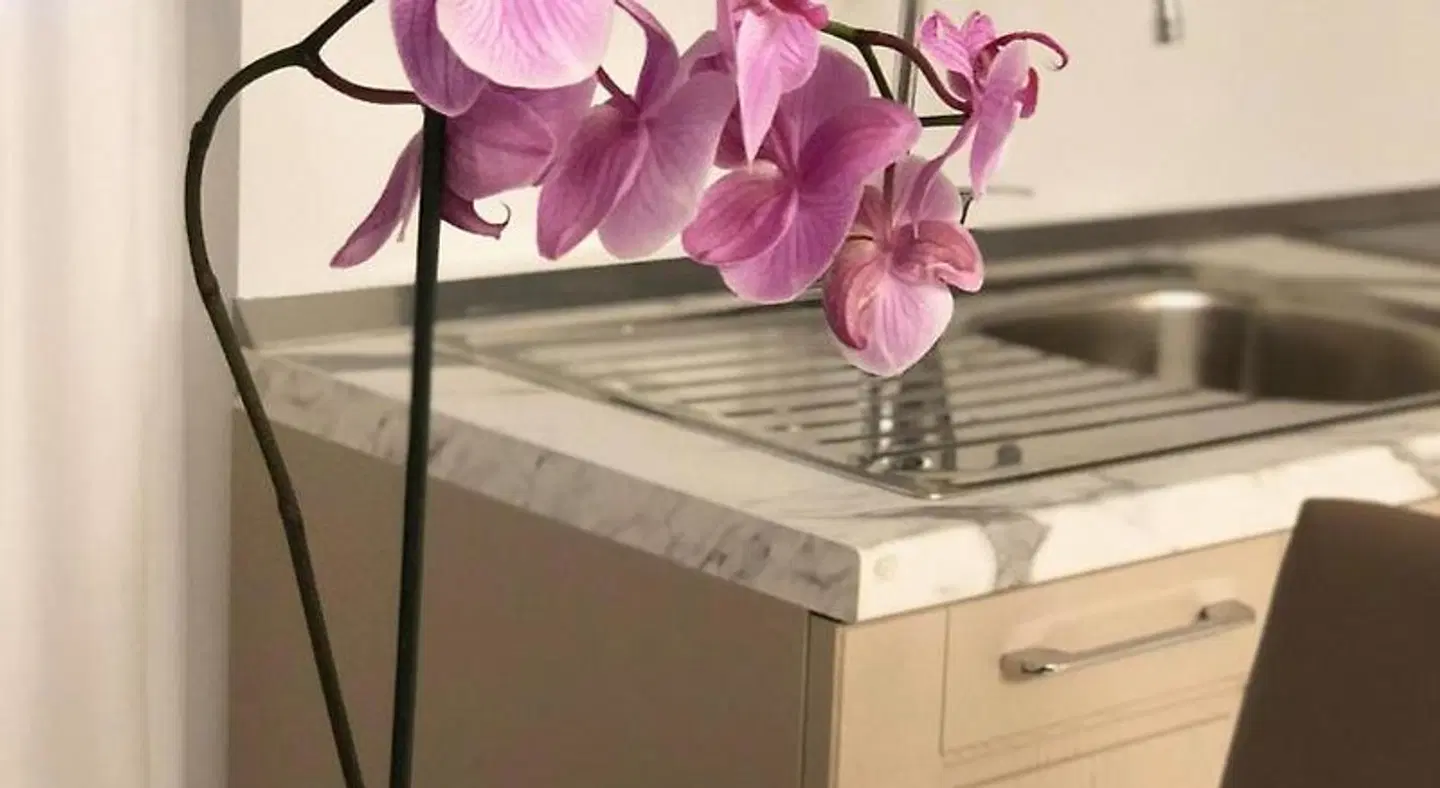 Marina Centro Suite HEALTH_BEAUTY