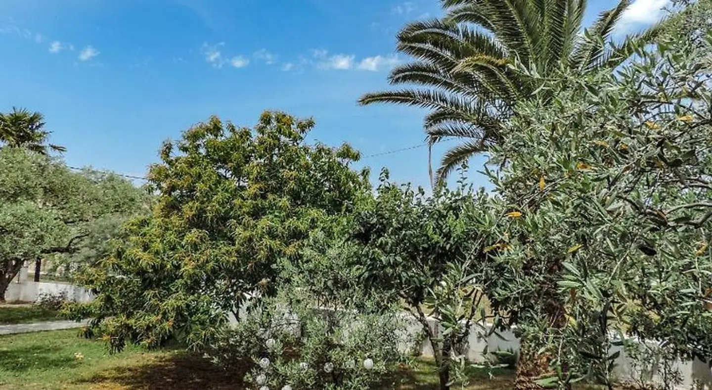 Villa Dafni Studios LANDSCAPE