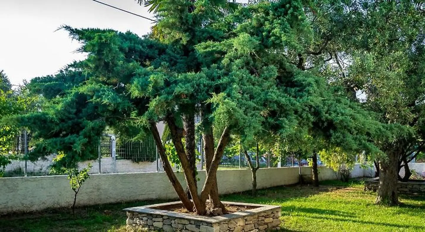 Villa Dafni Studios Garten
