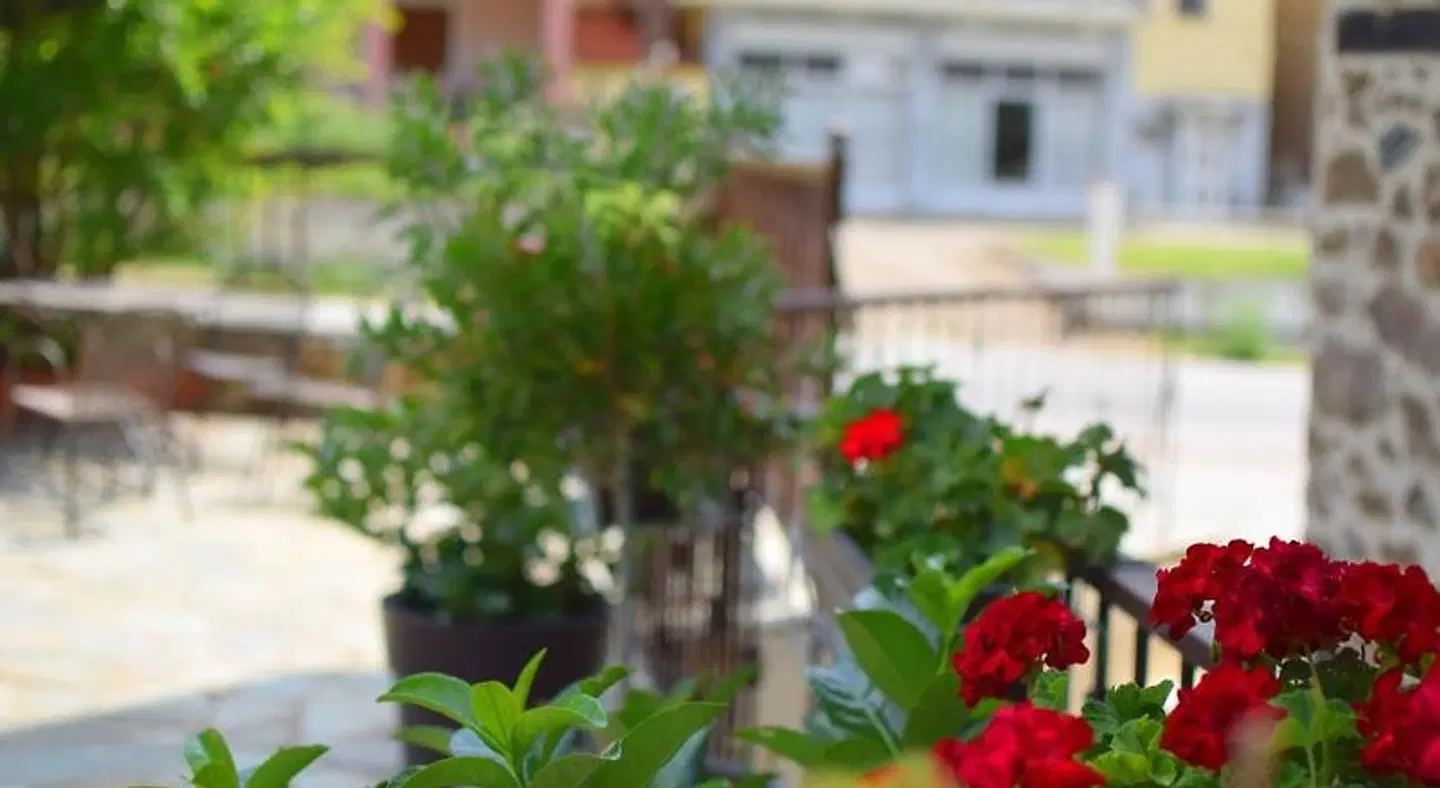Nostos Garten