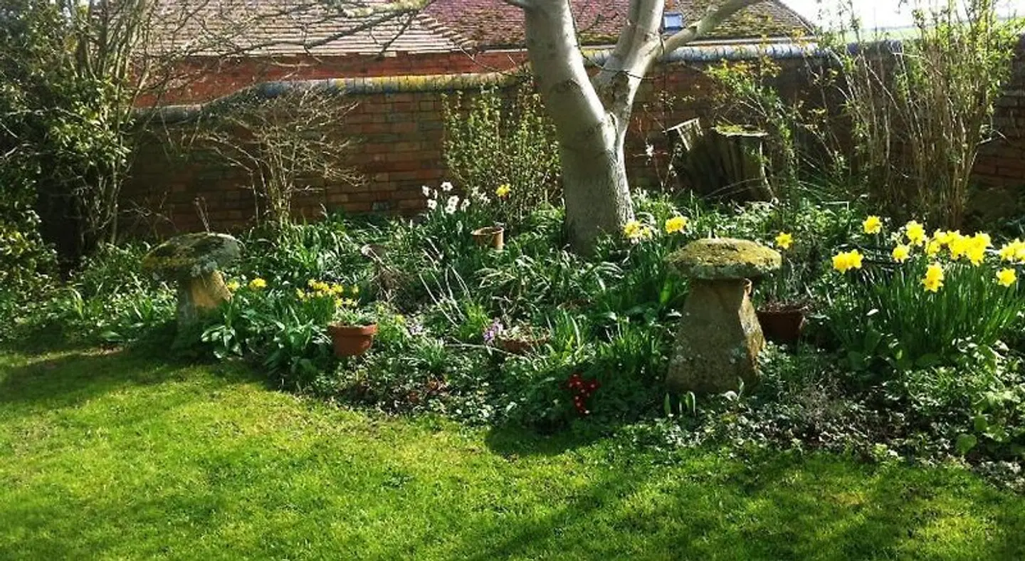 Whitchurch Farm B&B Garten