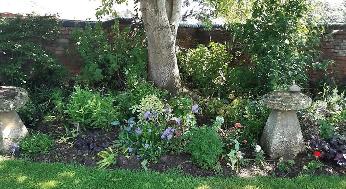 Whitchurch Farm B&B Garten