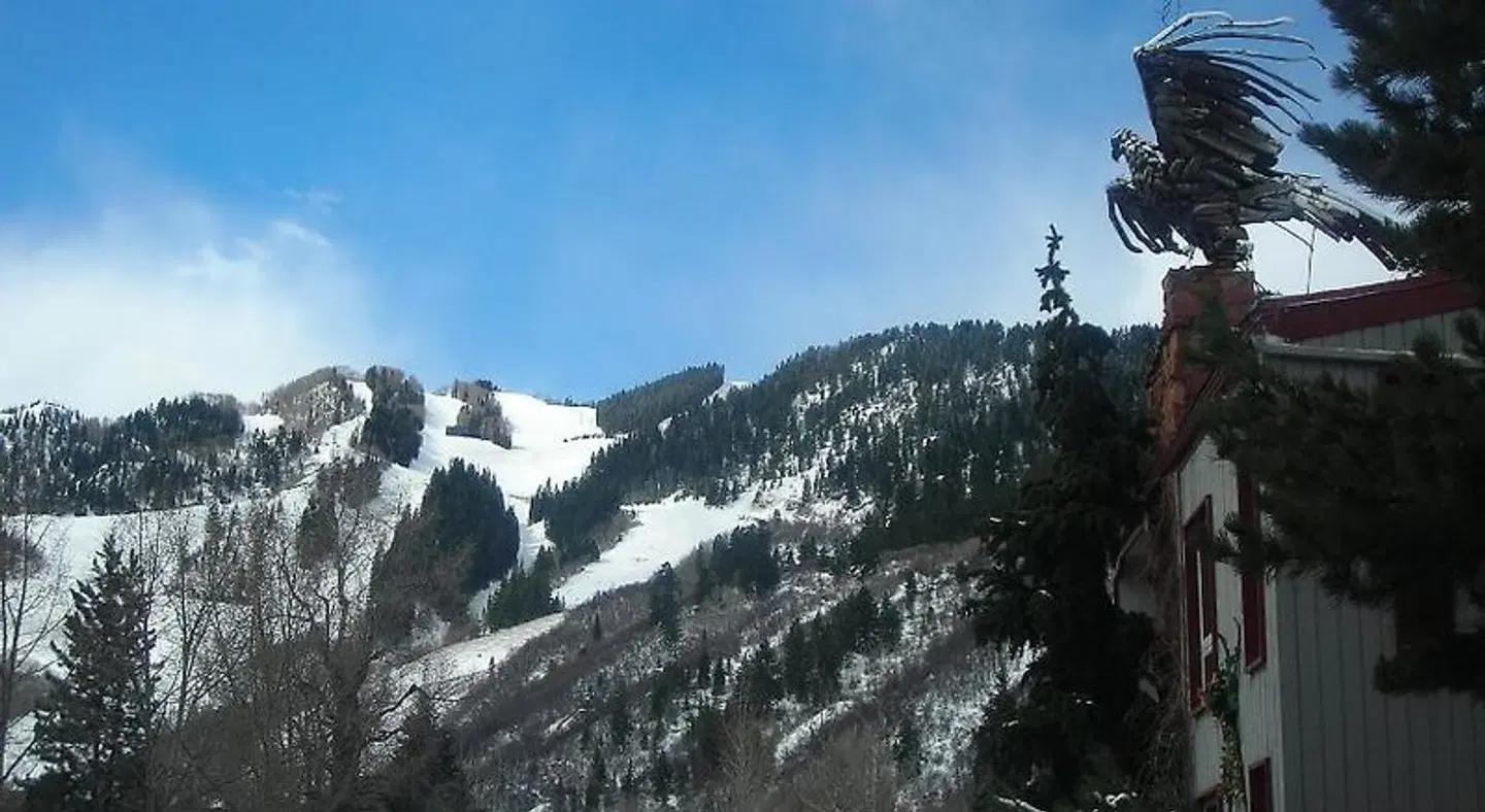 Tyrolean Lodge LANDSCAPE