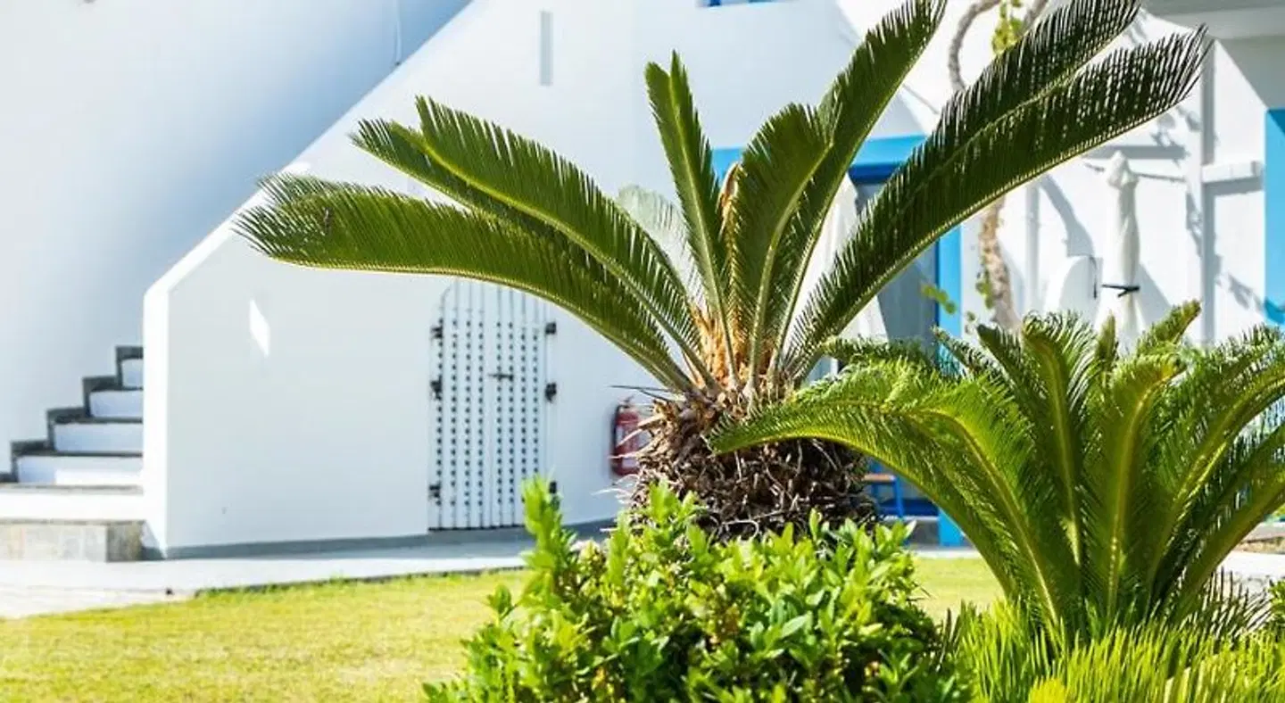 Bella Vista Stegna EXTERIOR