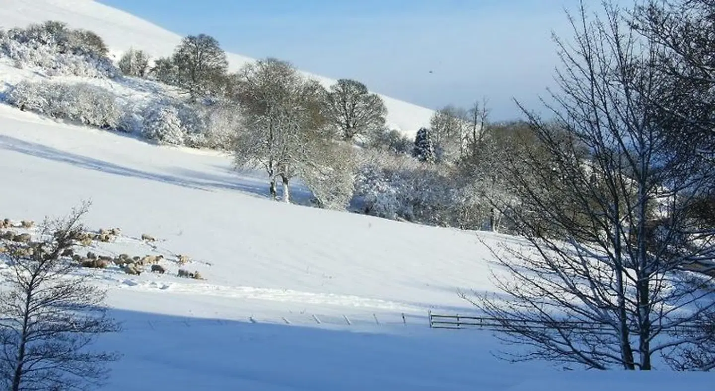 The Red Lion Inn LANDSCAPE