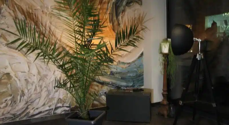 Hotel Eulensteins – Hotelfoto