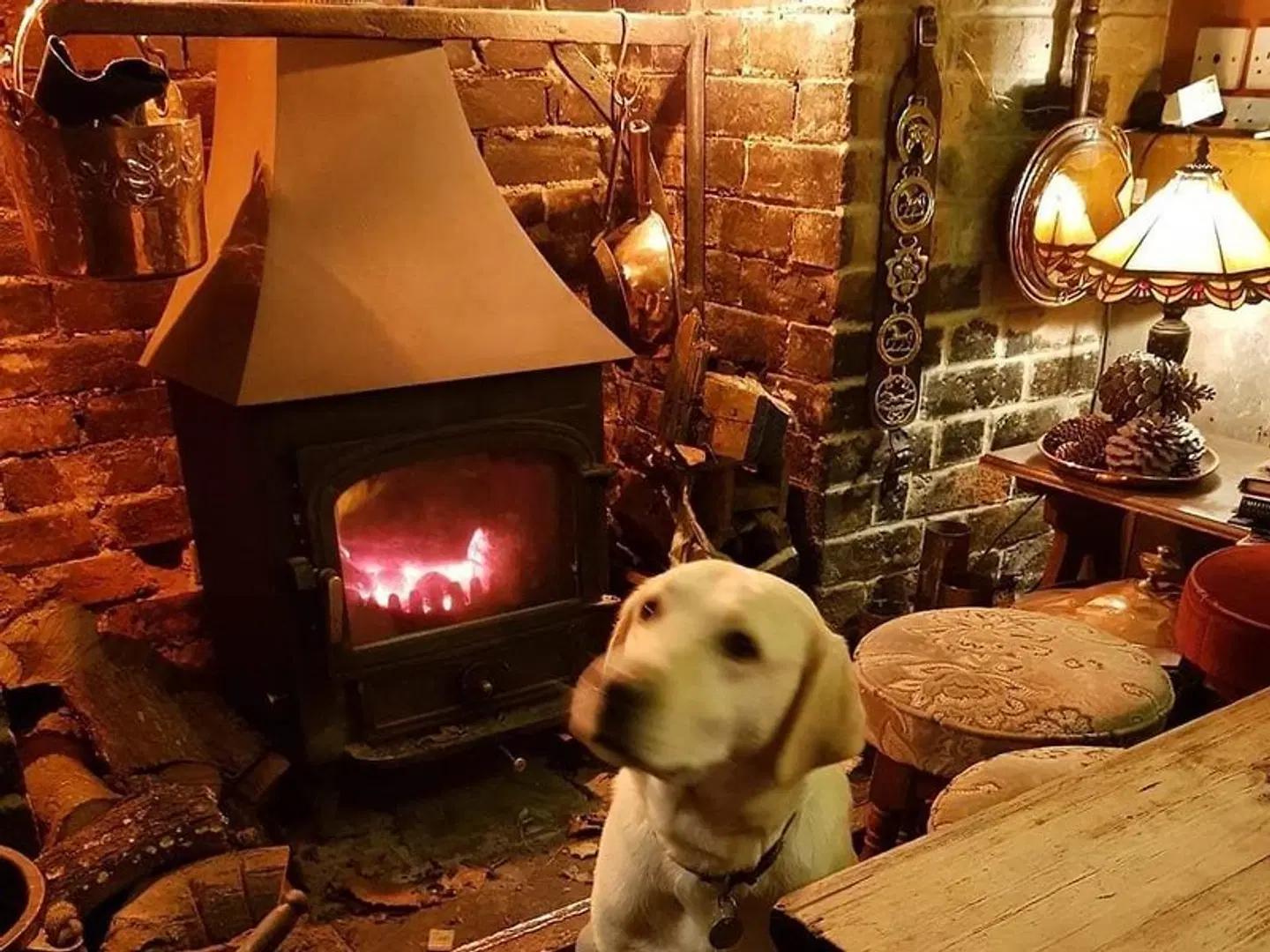 The Oak Inn Staplow Tiere