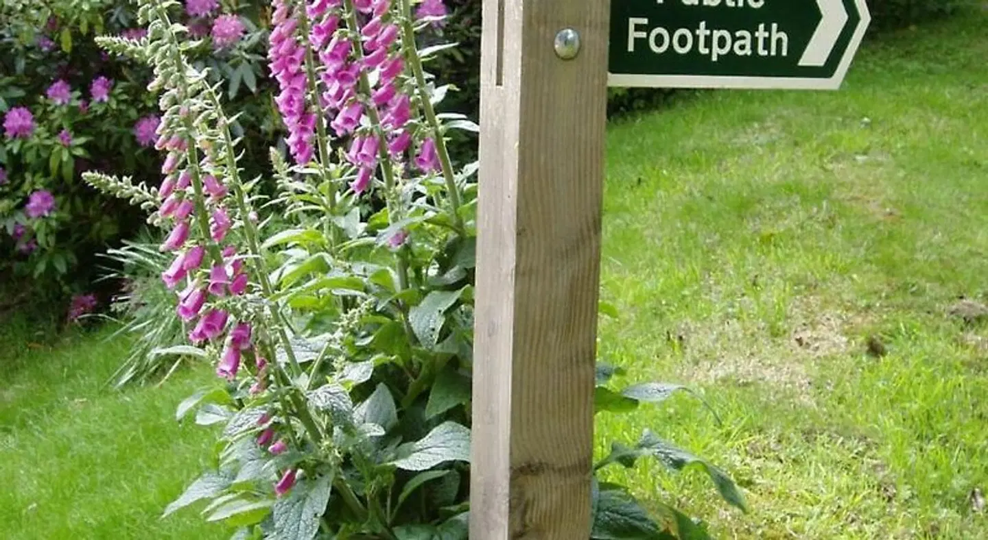 Tregondale Manor Farm Garten