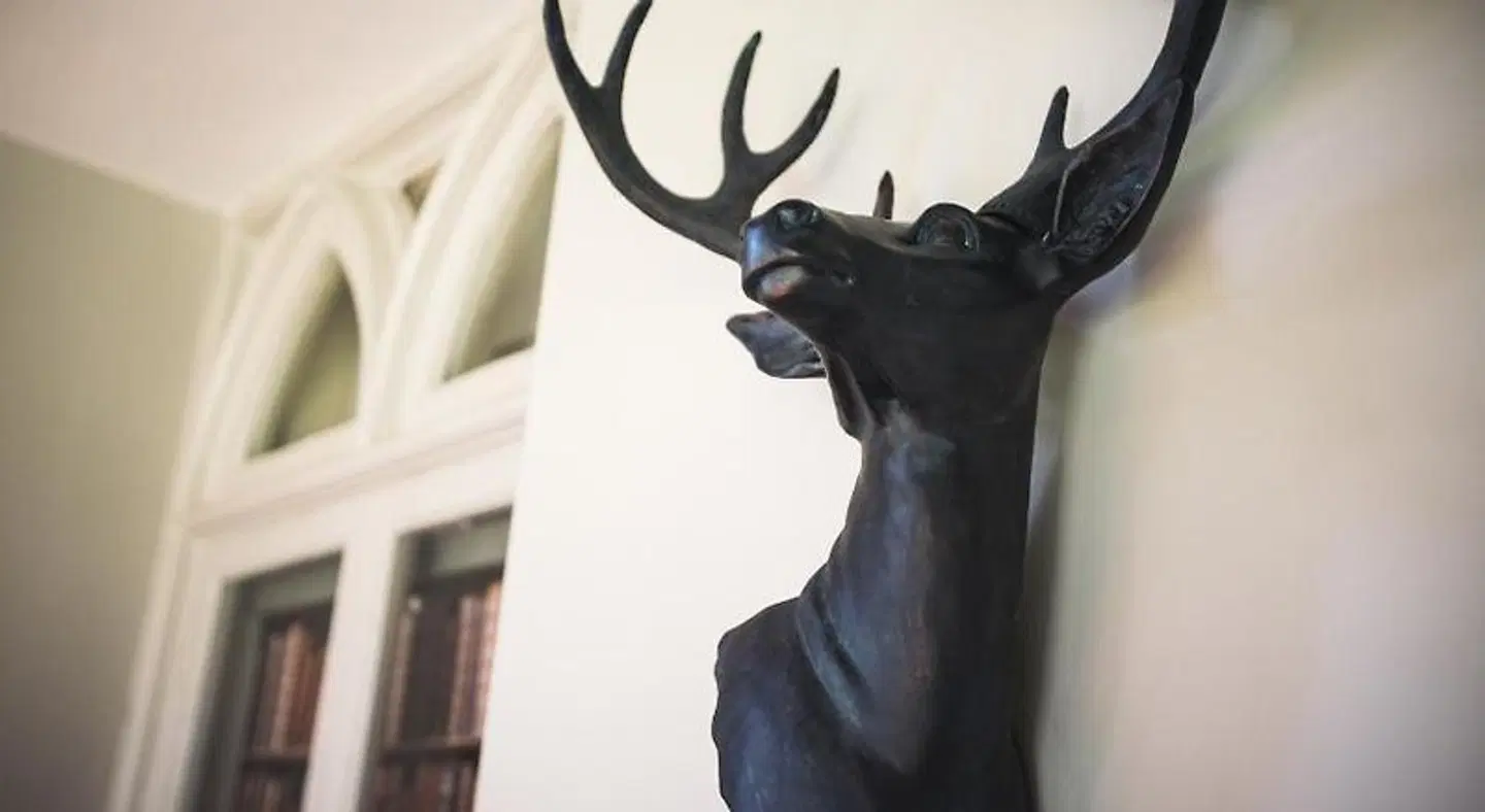 The Broadmead Boutique B&B Tiere