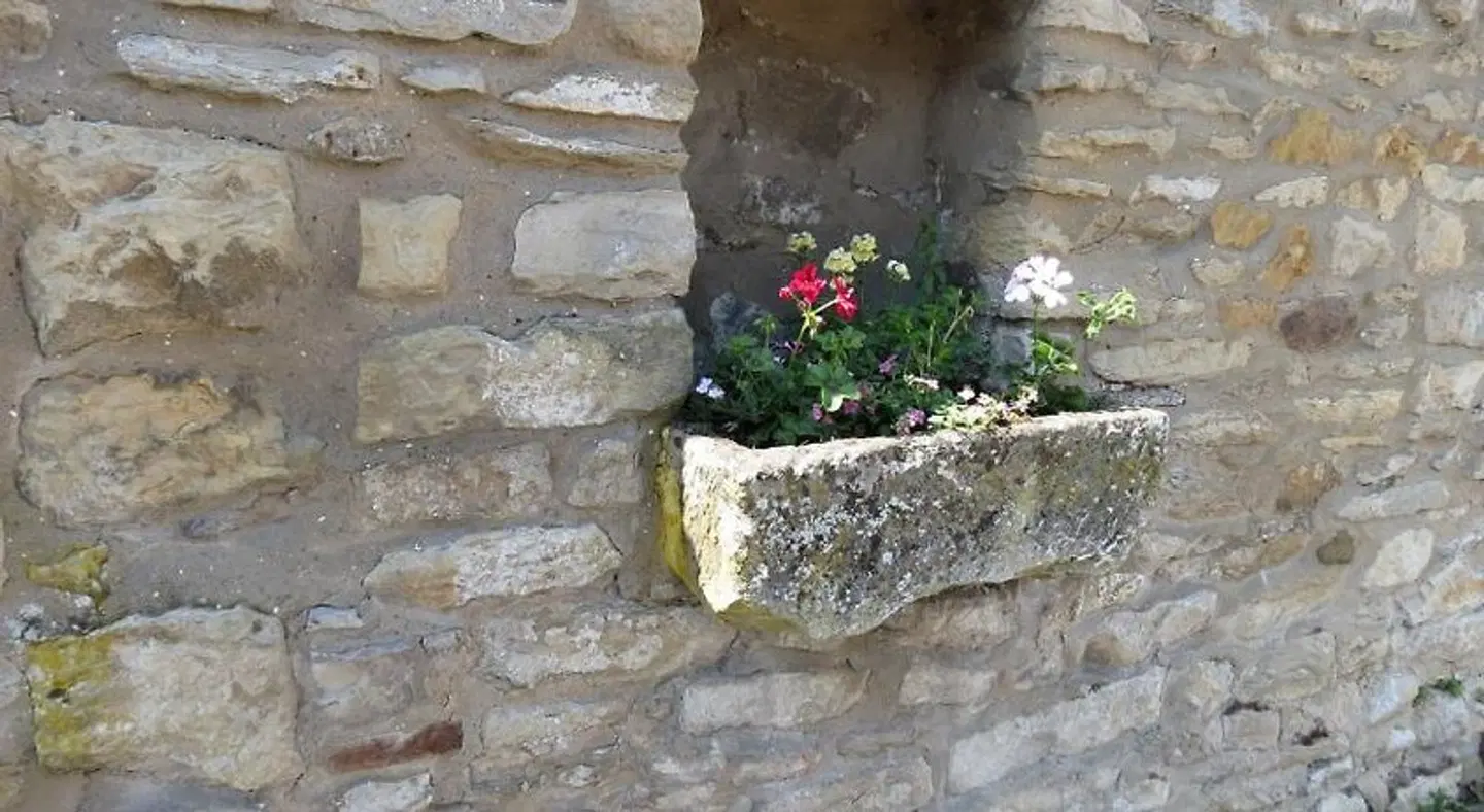 Pear Tree House B&B Garten