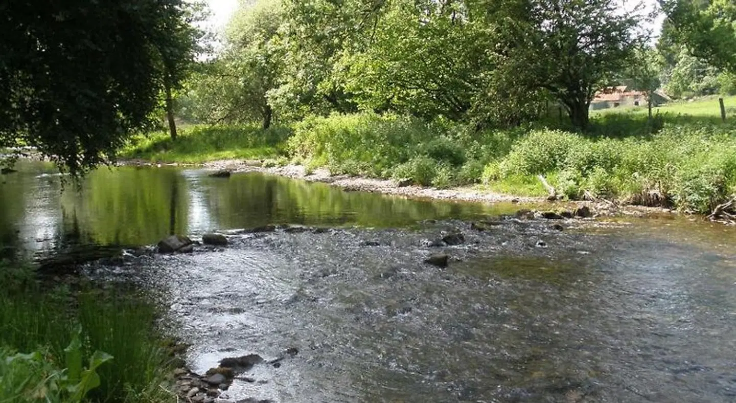 Kings Farm LANDSCAPE