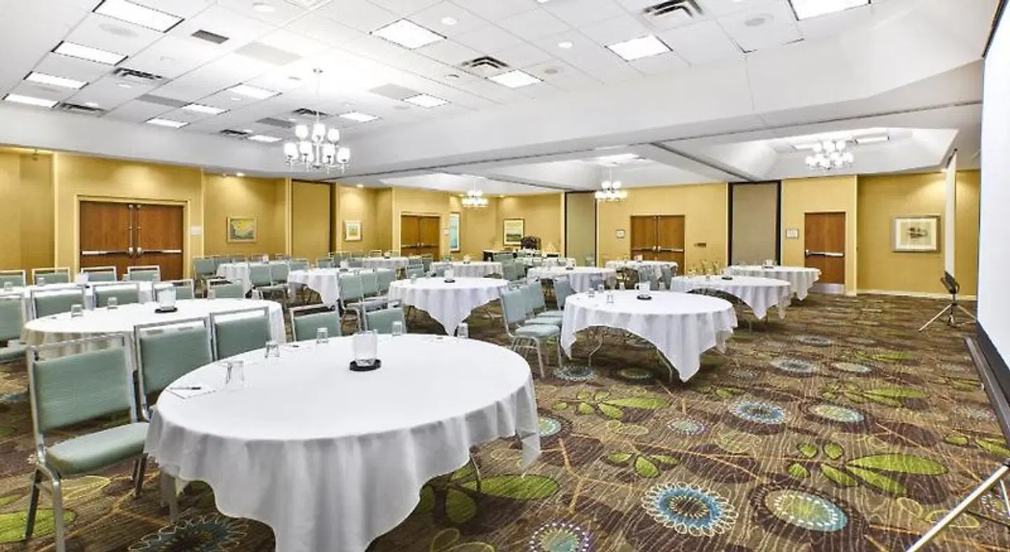 Holiday Inn & Suites Bolingbrook by IHG Konferenz