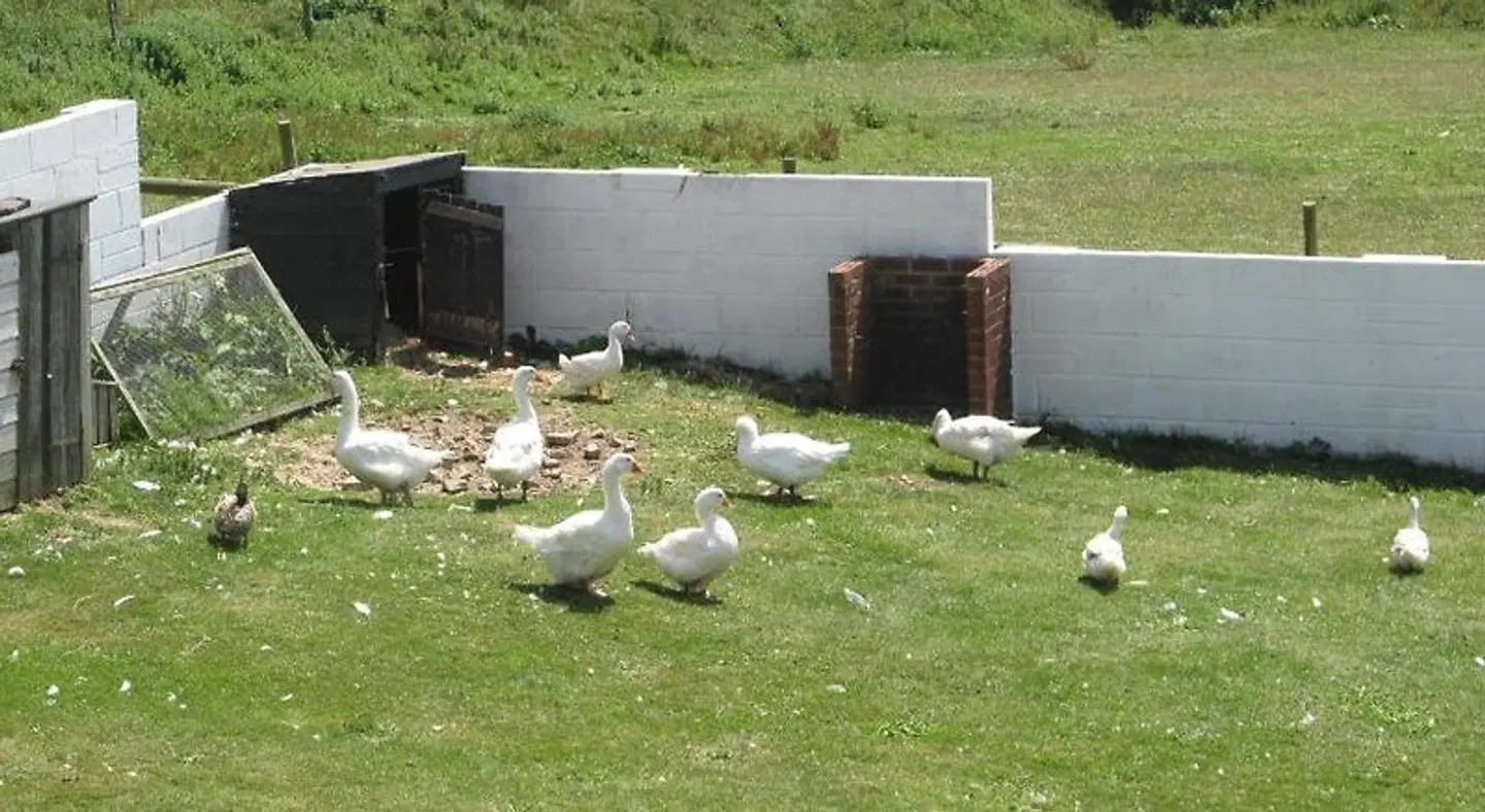 Upton Cross B&B Garten