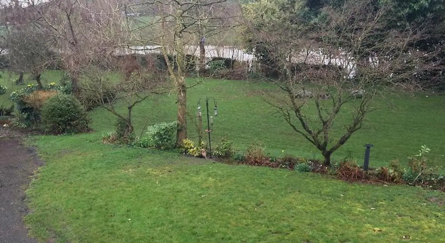 Bron Hafren Garten