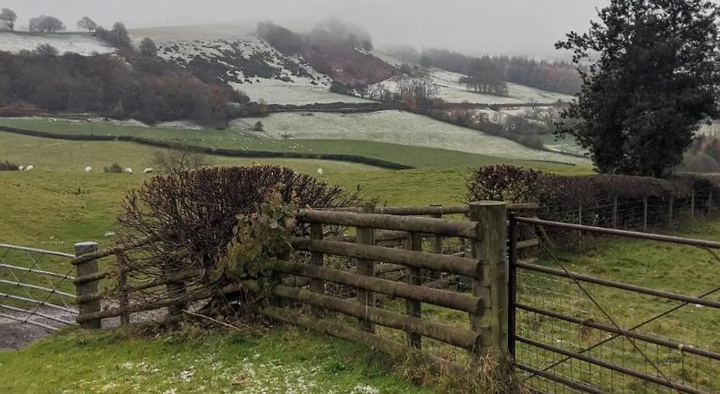 The Dolfor Inn LANDSCAPE