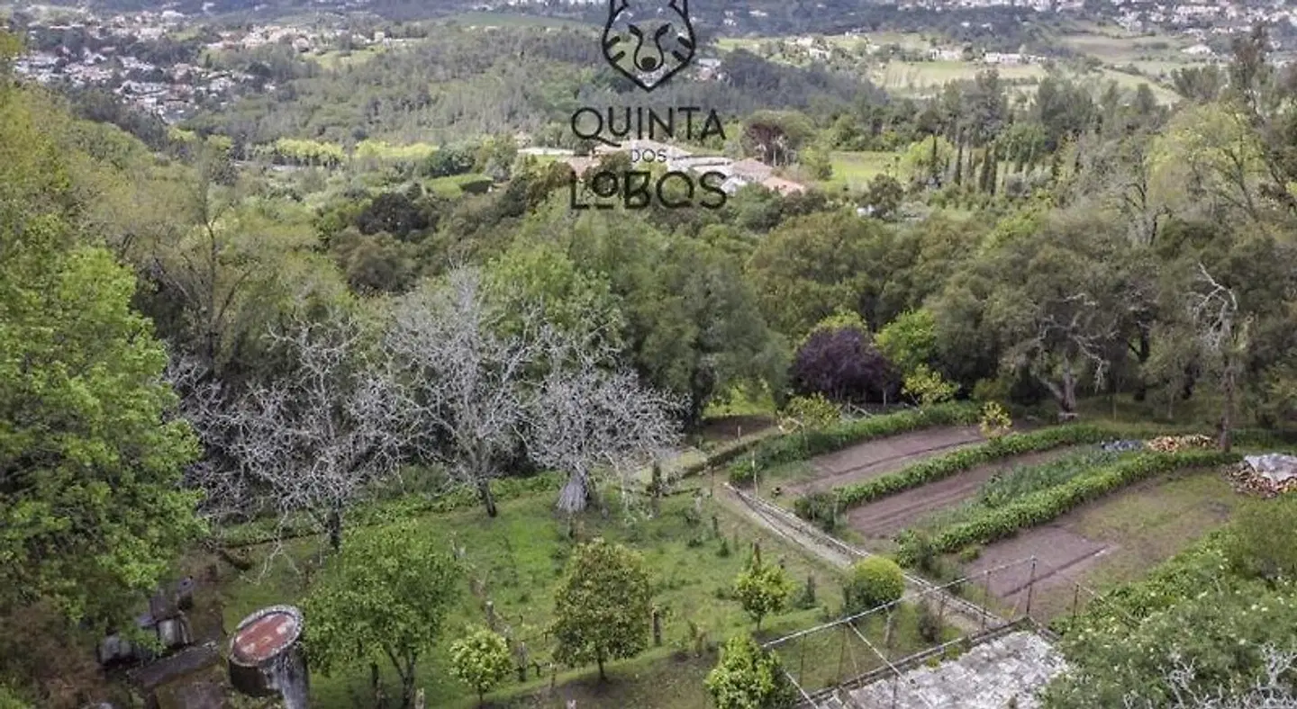 Quinta dos Lobos Boutique Hotel - Art & Nature Experience LANDSCAPE