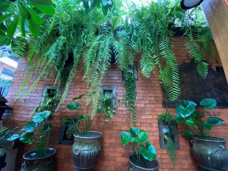 Wannamas Chiangmai Boutique House – Hotelfoto