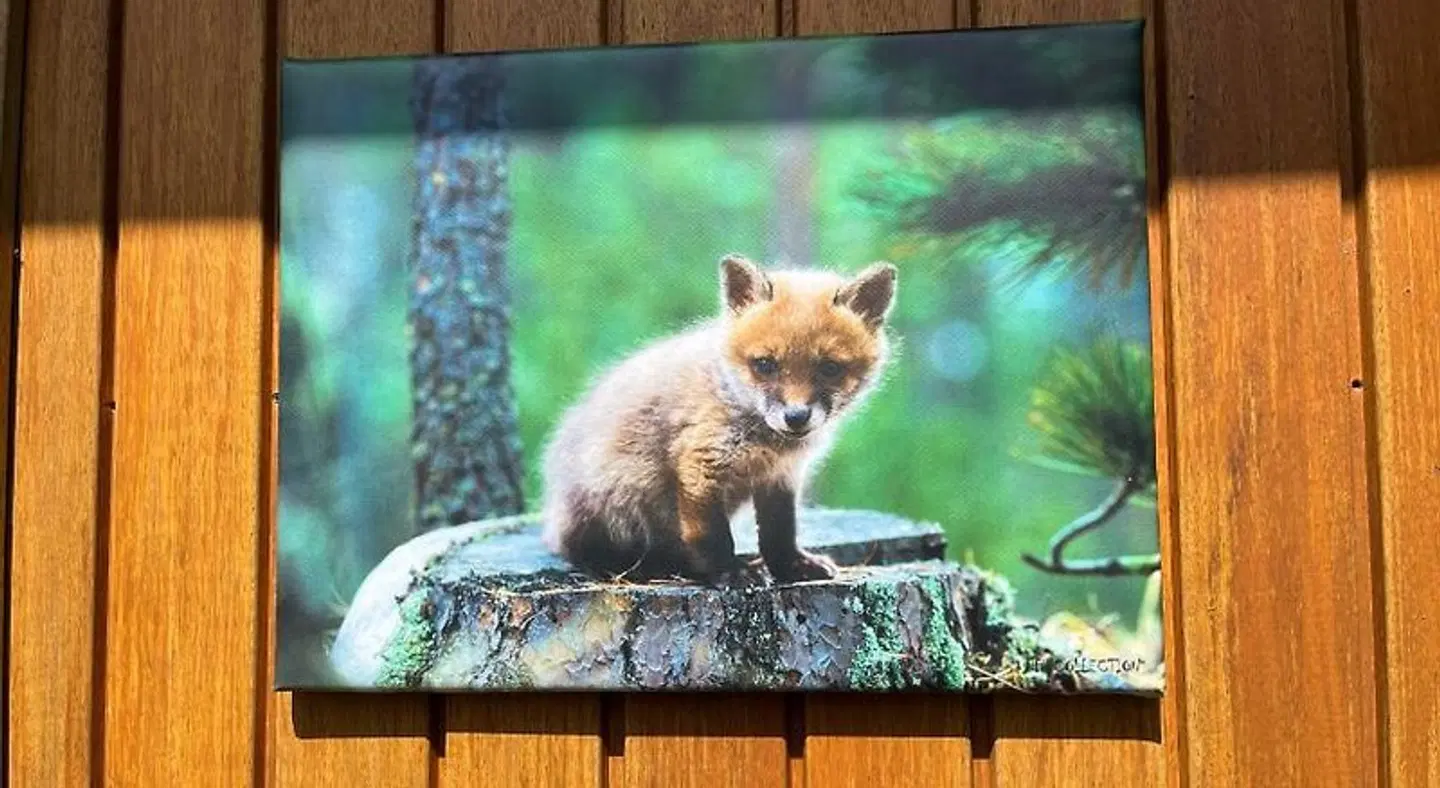 Luxe kamer Chambre Renard met eigen terras Tiere