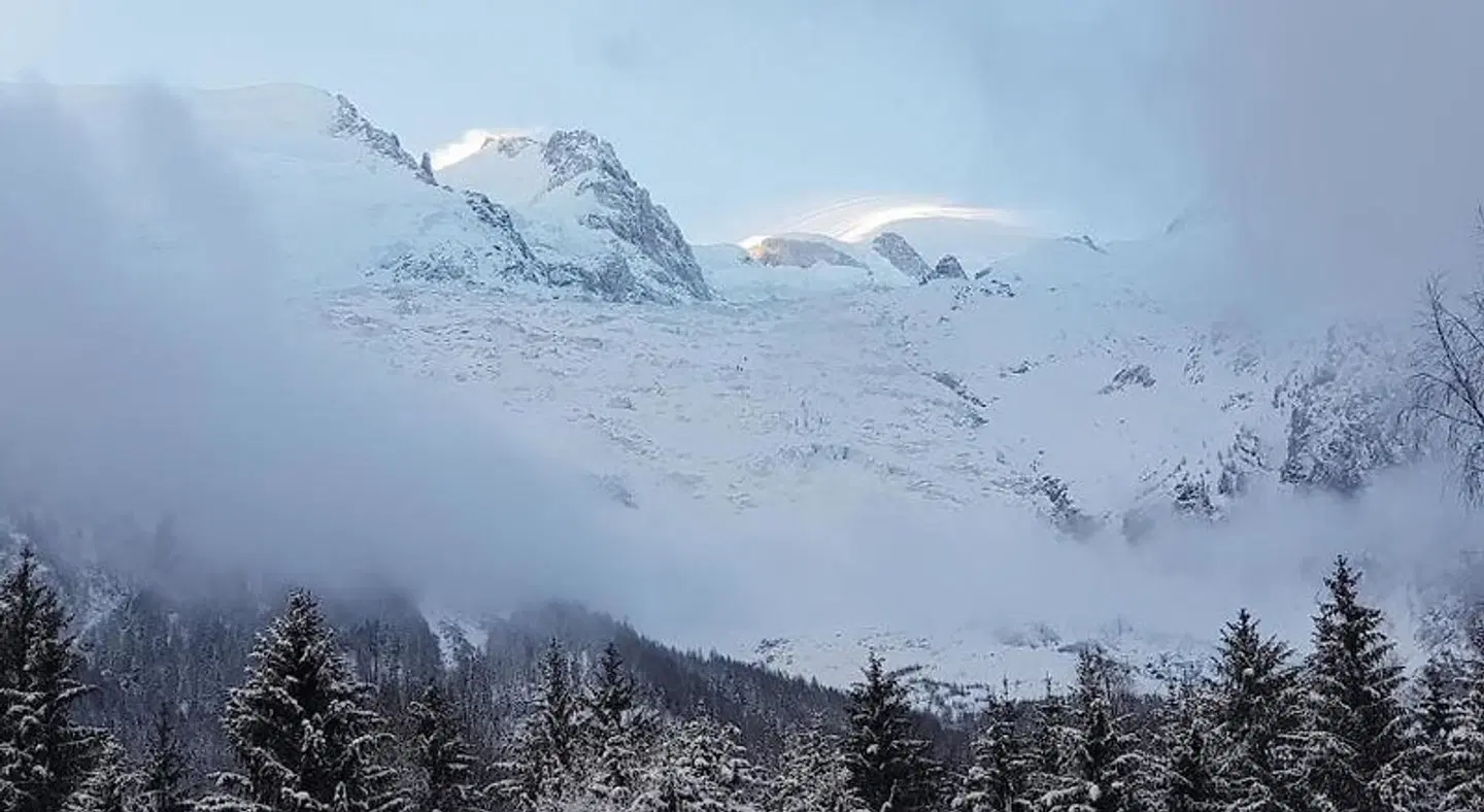 Alpenrose LANDSCAPE