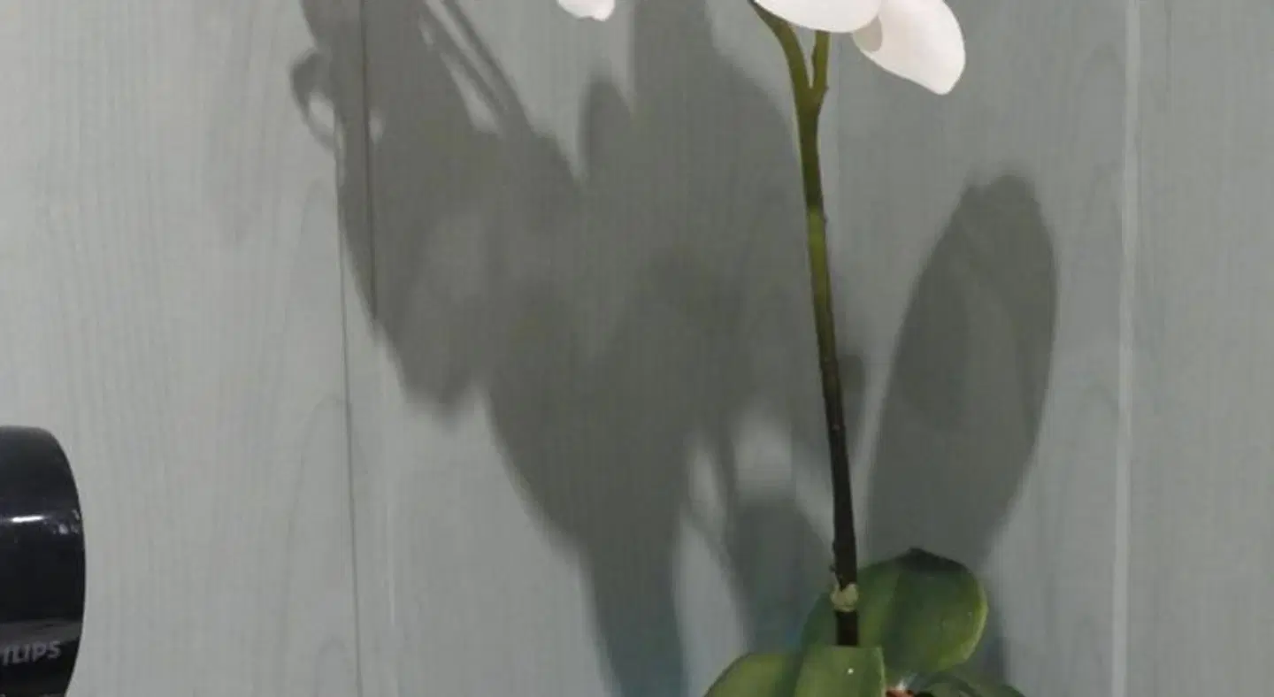 Les Gragniotes Badezimmer