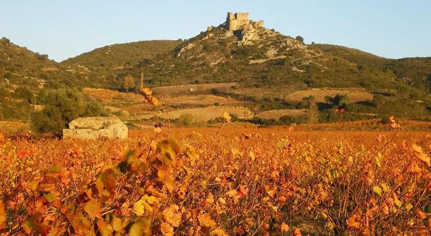 Gite Saint Roch LANDSCAPE