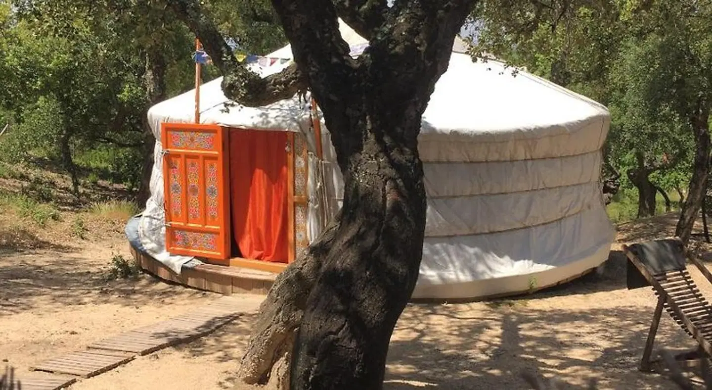 Au Soleil Mongol Tiere