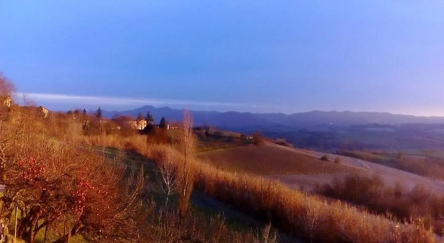 I Quattro Gatti LANDSCAPE