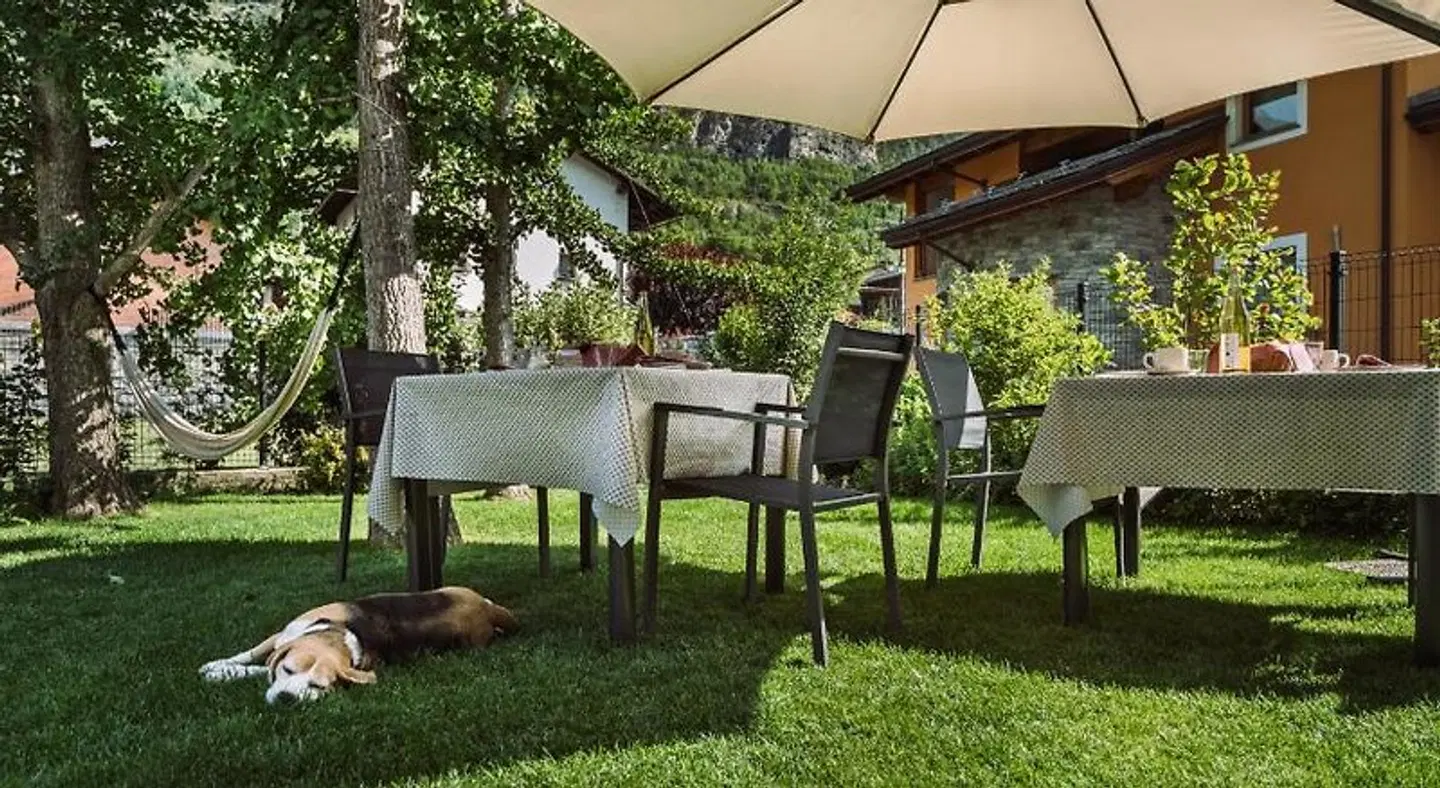 La Mucca Pelosa B&B Tiere