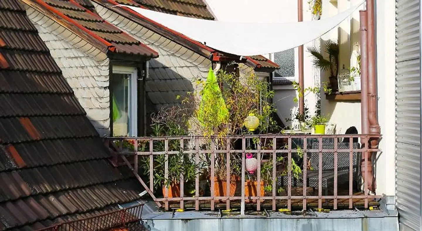 Barbarossa OUTDOOR_POOL