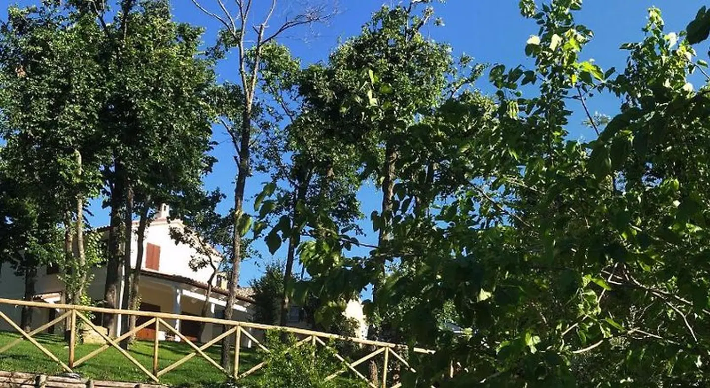 Il Lauro B&B LANDSCAPE