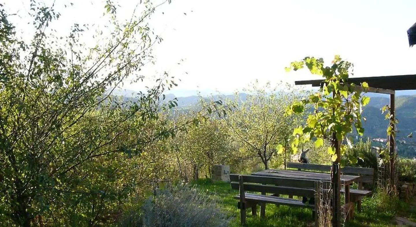 Chalet Il Bosco dei Mille Frutti Garten