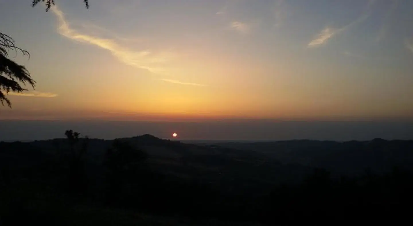 Al Tardino B&B LANDSCAPE