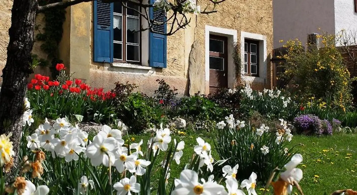 La Foyère Terrasse