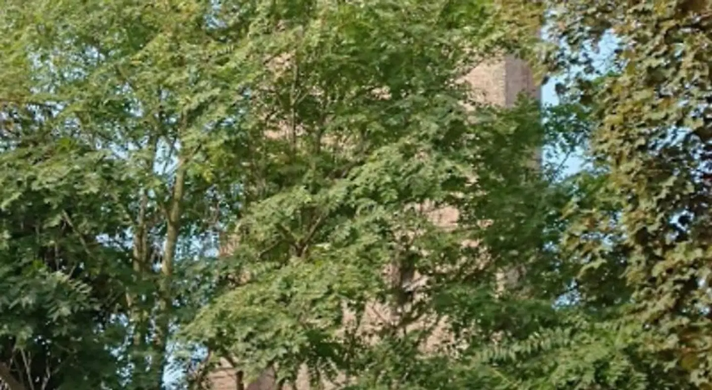 HCR de Zwaan LANDSCAPE