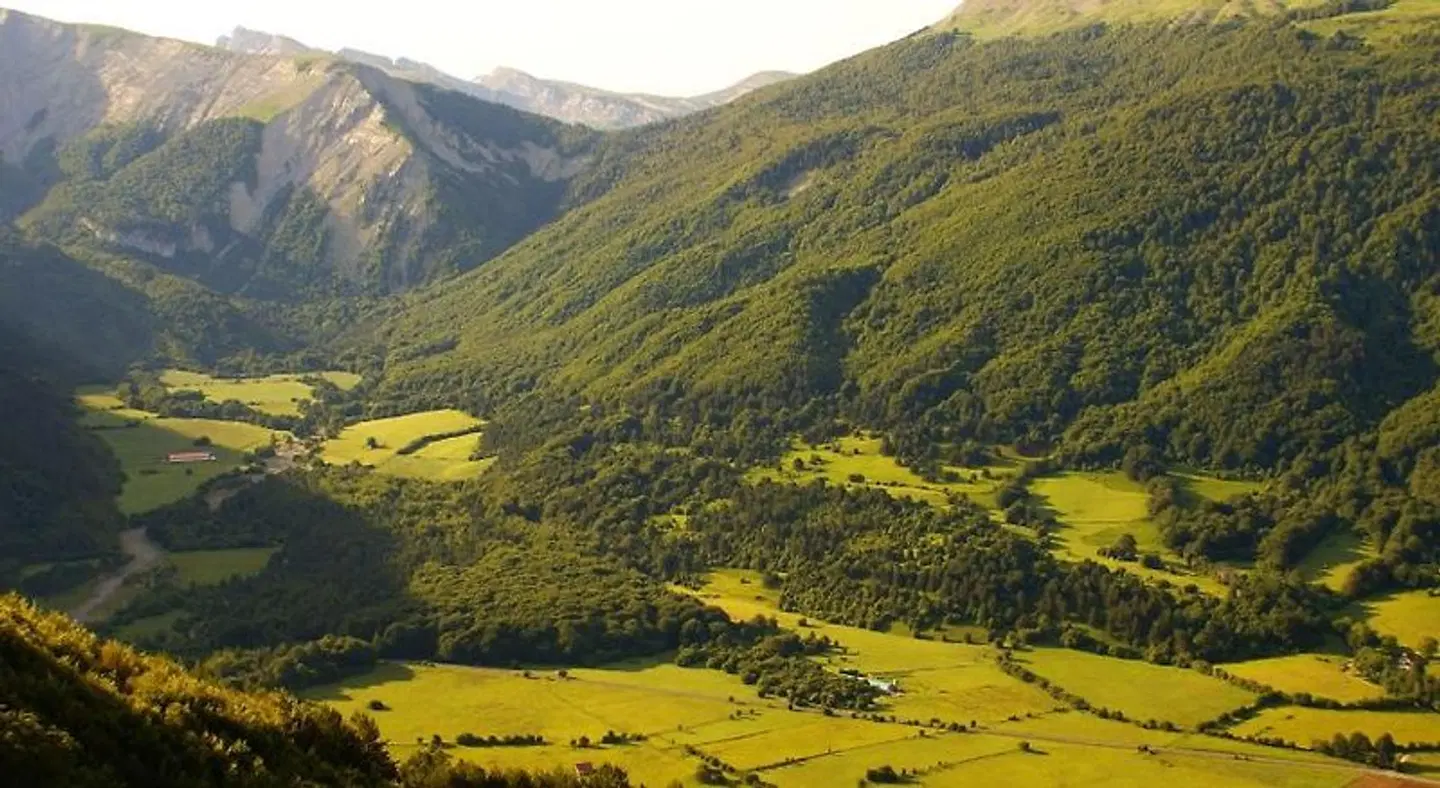 Pension Txiki LANDSCAPE