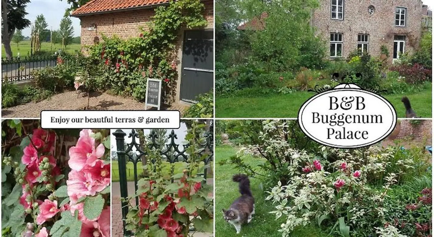 B&B Buggenum Palace EXTERIOR
