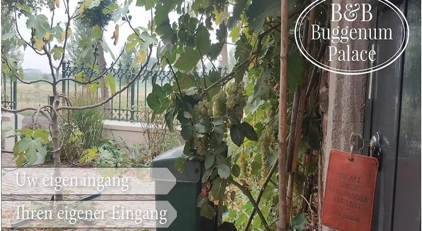 B&B Buggenum Palace LANDSCAPE
